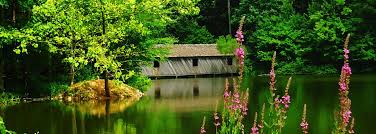 Obituary for Judith Myrna (Hart) Ferrell