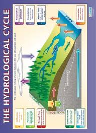 The Hydrological Cycle Geography Educational School Posters Geography Classroom Teaching Geography Gcse Geography