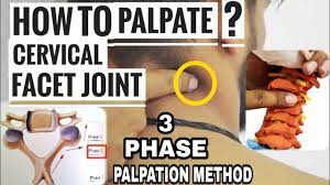 Treatments that may be performed at home to relieve lumbar facet pain include: Cervical Facet Joints Palpation Technique 3 Phase Method Youtube