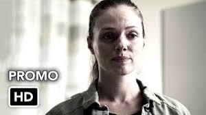 Chicago P.D.: Who Will Take The Fall For Roy's Murder In Season 9?