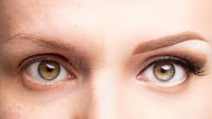 As of this writing, more than 297 million eyes stock was up 179.2% as of friday morning. 56 357 Eyebrow Photos Free Royalty Free Stock Photos From Dreamstime