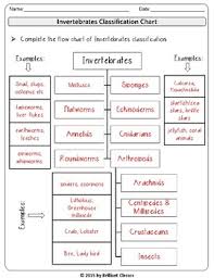 Animal Classification Vertebrates Invertebrates Flow Chart And Venn Diagram