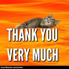 Do not post memes of you or your friends irl. 51 Nice Thank You Memes With Cats Tons Of Thanks