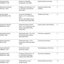 Comparison Of Arthropod And Annelid Mushroom Bodies A