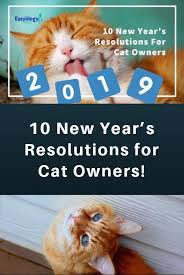10 New Year S Resolutions For Cat Owners First Time Cat Owner Cats Cat Care Tips