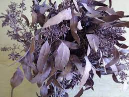 Dried Purple Painted Seeded Eucalyptus Wreath Candle Potpourri Wedding Fall Dried Flower Leaves Greens Dried Flowers Seeded Eucalyptus Purple Paint
