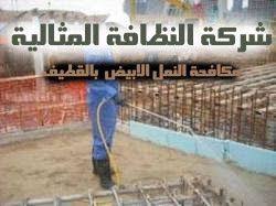 شركه مكافحه النمل الابيض فى القطيف انتشرت حشرات النمل الابيض بشكل كبير خصوصا فى الاونه الاخيره اذ انها من الحشرات الت Termite Control Baseball Cards Termites