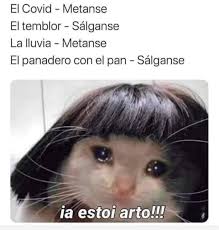 85 b meme hayranı erotizm fantazi ve doyumsuz geceler için. Blog Del Regio Ø¹Ù„Ù‰ ØªÙˆÙŠØªØ± Tras El Sismo Vienen Los Memes Aqui Algunos De Los Mas Compartidos En Redes Sociales Tras El Temblor Registrado En Cienega De Flores Que Se Sintio En