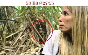 Behind the scenes of Bigfoot Took Her