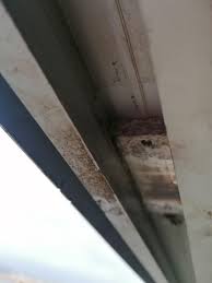 We did not find results for: Baie Vitree Linternaute Com