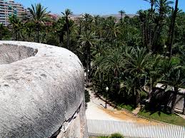 Palm groves (palmeral) of elche travelers' reviews, business hours, introduction, open hours. Palm Grove Spain