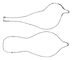 Birds Of North Idaho Pin On Interesting