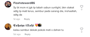 Boraks adalah campuran garam mineral konsentrasi tinggi. Video 2 Bahan Dari Dapur Ini Berkesan Nak Halau Semut Tanpa Guna Racun Berita Ku