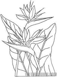 Simple Bird Of Paradise Flower Drawing Bird Of Paradise Flower Inspiration For Keons Leather Tooling In 2020 Birds Of Paradise Flower Flower Painting Flower Drawing