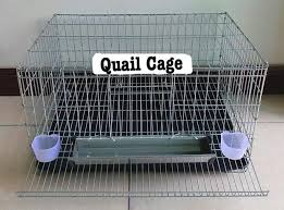 Create a cheap hay rack for your guinea pig or rabbit. Quail Cage Pet Supplies Homes Other Pet Accessories On Carousell