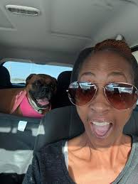 Boxer dog moms community