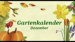 Garten mit gartenhaus und freisitz in schwelm. Dcflbsda6wtfkm