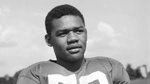 The Story of George Taliaferro