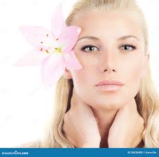 345,648 Lily Plant Stock Photos