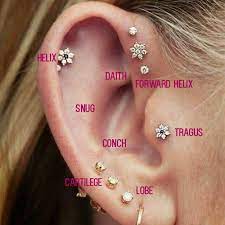 Image Uploaded By Lucia Find Images And Videos About Piercing On We Heart It The App To Get Lost In What Y Unique Ear Piercings Ear Piercings Ear Peircings