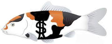 We ship anywhere in the united states including alaska and hawaii for only $39.00! How To Breed Koi For Profit