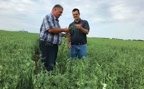 You can always go back to the insects by state listing. Nebraska Sare North Central