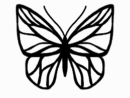 For the beginners also, drawing butterfly sketch is good for their practice. Outline Simple Easy Butterfly Drawing Novocom Top