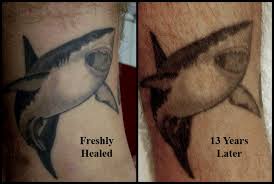And opened its doors in 2007. Tattoo Aging Album On Imgur
