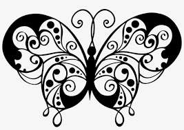 Sketsa kupu kupu adalah salah satu gambar dasar dini yang belum jadi, umumnya ia digoreskan dengan menggunakan media pensil dan sejenisnya. Animal Butterfly Decorative Flourish Flying Insect Gambar Dekoratif Kupu Kupu Transparent Png 960x632 Free Download On Nicepng