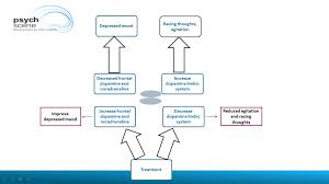 Unipolar Or Bipolar Disorder What S All The Fuss About