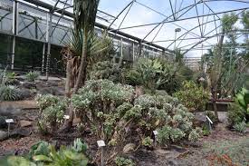 Liste der botanischen gärten — ein botanischer garten ist eine oft nach herkunft der pflanzen. Botanischer Garten Dresden Florale Raritaten