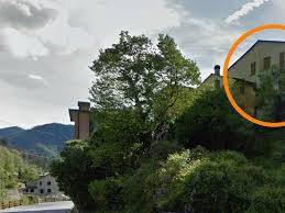 Image result for isolona