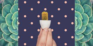 If anyone has any other ideas re how to acquire these gloves, please let us know. This Micro Cactus Trend Is Too Cute Joanna Gaines Loves Mini Cacti Too