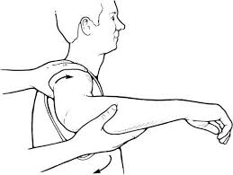 Image result for Shoulder Apprehension Test