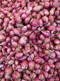 Tipi Di Cipolla Le 31 Varieta Italiane Da Conoscere Dissapore