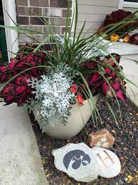 These are usually listed as partial sun or partial shade veggies in garden stores. Make A Shade Loving Container Garden Sometimes Homemade