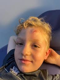 Susie Stout Photography