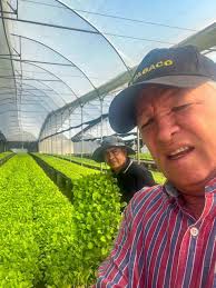 INTABACO producirá 15 millones de plantas de tabaco para Zafra 2025-2026  Inició la distribución de 160 mil plántulas para pequeños productores de  alta calidad. El Instituto del Tabaco de la República Dominicana (@