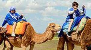 What's included, what's not guided dubai morning safari: The Camel Ride Of Dunes Desert