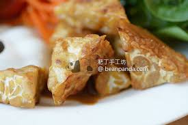天貝是甚麼三大發酵營養純素食品之一homemade tempeh recipe 肥丁手工坊 creative commons food cc images