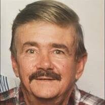 Lonnie Burl Long Obituary