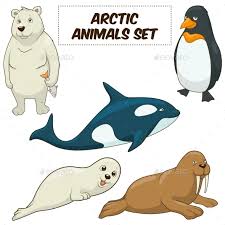 Cartoon Arctic Animals Set By Alexanderpokusay Graphicriver