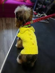 Dog Sweater Cable Knit Kopek Kedi