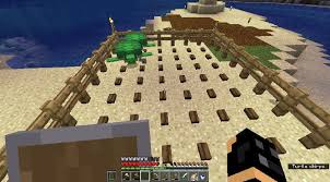 Minecraft Wie Man Schildkroten Aufzieht Tipps Und Tricks