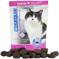 Medicine cats are members of a clan who treat diseases and injuries. 26 Products From Amazon That Senior Cat Owners Swear By