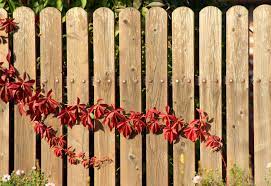 Fence gates are a great place to show creativity and style by utilizing variations of the fence you install. Central Algarve Magazine In Portugal