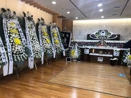 '한강 실종 대학생' 아버지 많은 제보 감사…경찰 청송서 송이따러 나간 70대 실종 6개월만에 숨진 채 발견. Vnhdrinr09 Qym