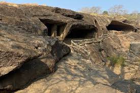 Best Sanjay Gandhi National Park Tours ...