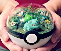 Pokeball Terrariums Pokemon Diy Pokemon Ornaments Pokemon Decor