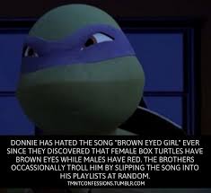 This Is A Confessions Blog Dedicated To Anything Tmnt Please Use The Submit Box For Confessions Tmnt Donatello Tmnt Ninja Turtles Cartoon